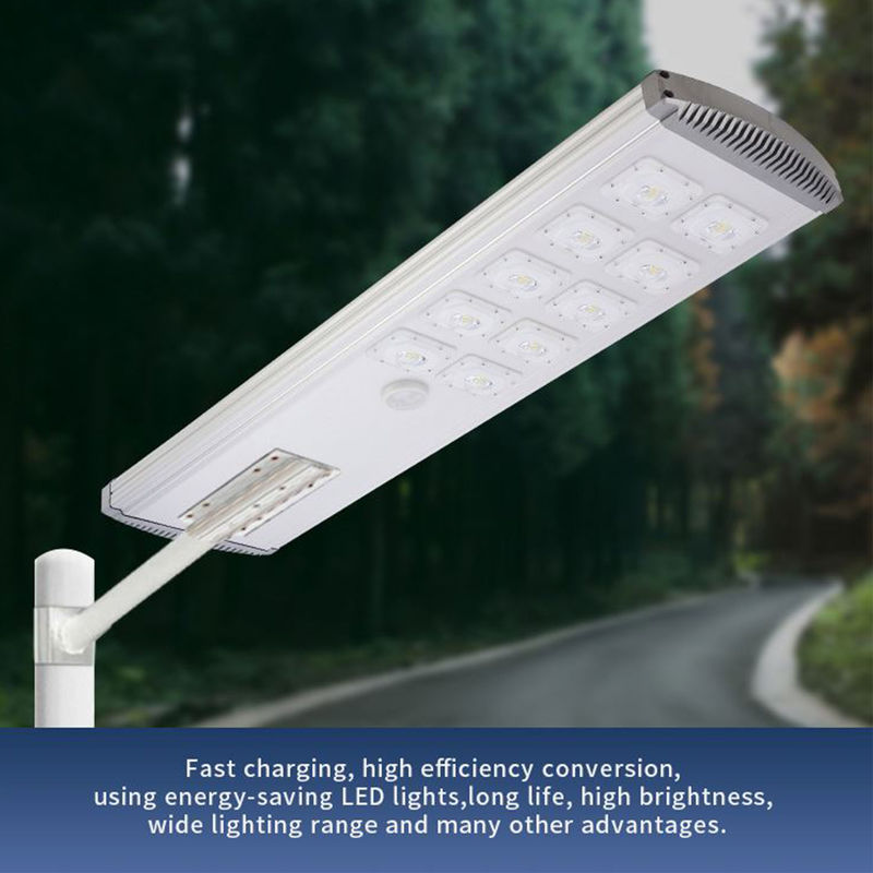 1000W a intégré le capteur à distance solaire du mouvement IP65 de réverbère avec la batterie au lithium Polonais