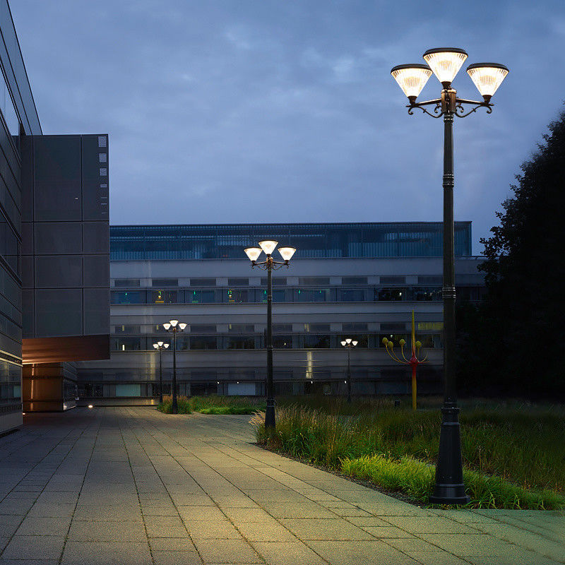 Le jardin solaire LED de paysage d'IP65 de lumière solaire extérieure de voie allume 3 lampes principales