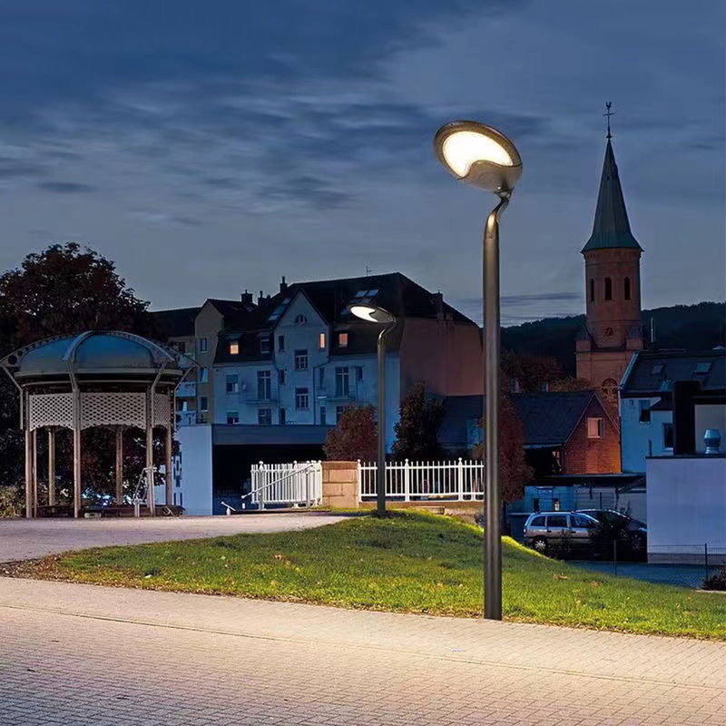 Lumières solaires de jardin de la cour 25W LED de rue pour la centrale solaire à la maison d'utilisation