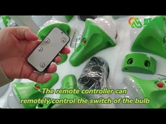 Système d'éclairage domestique solaire portatif du projecteur 25W pour le camping en plein air